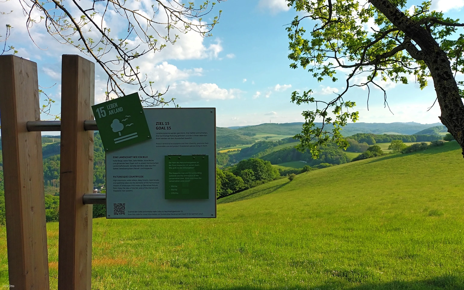 N2_2024-05-14 (c) Willi Otto.jpg