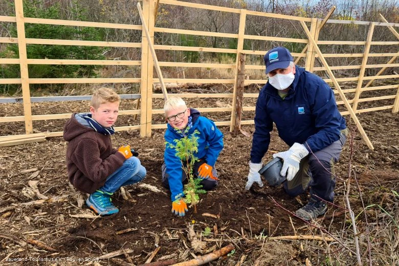 Samen met Dirk Zimmermann van het natuurpark planten de leerlingen van de katholieke basisschool Hallenberg de zaailingen voorzichtig in de grond.