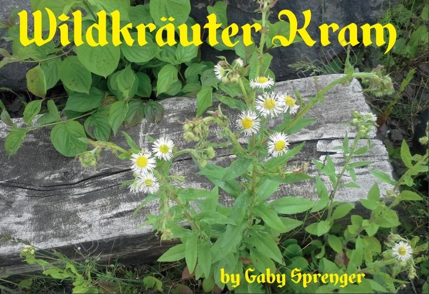Wilde kruiden spullen_Gaby Sprenger.jpg