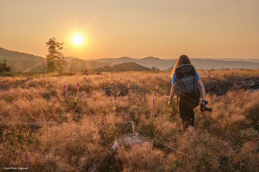 KPK1486589_Klaus-Peter Kappest.jpg