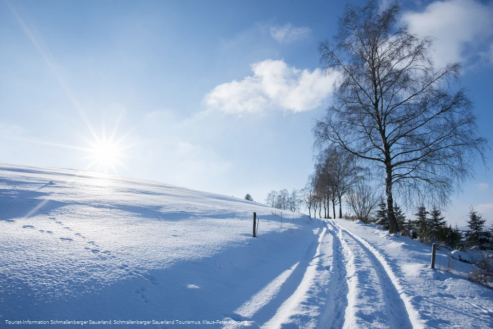 Winter im Schmallenberger Sauerland
