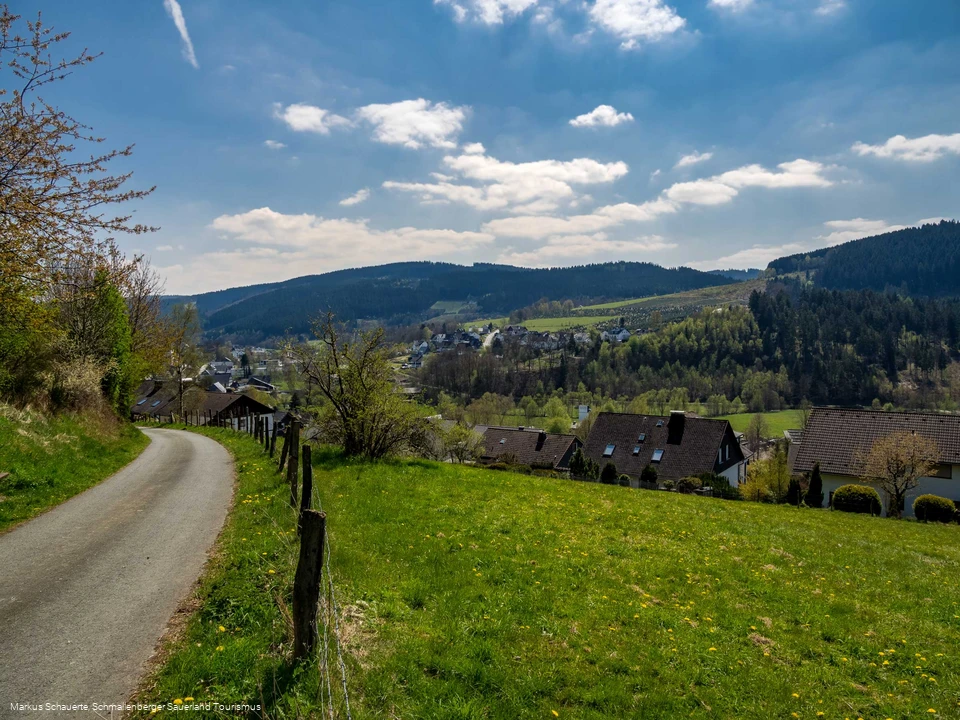 Fleckenberg im Sauerland