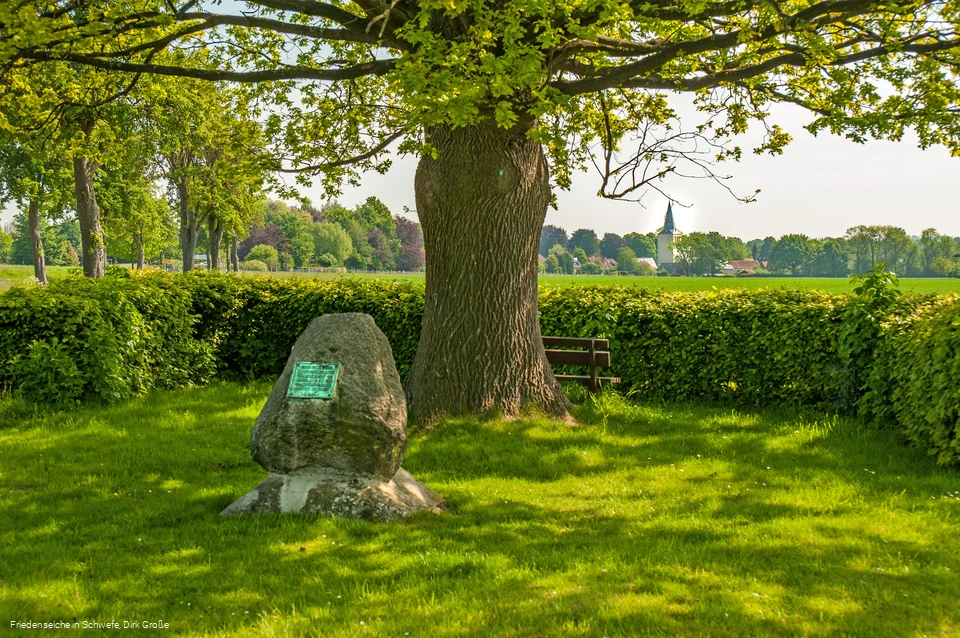 Friedenseiche in Schwefe
