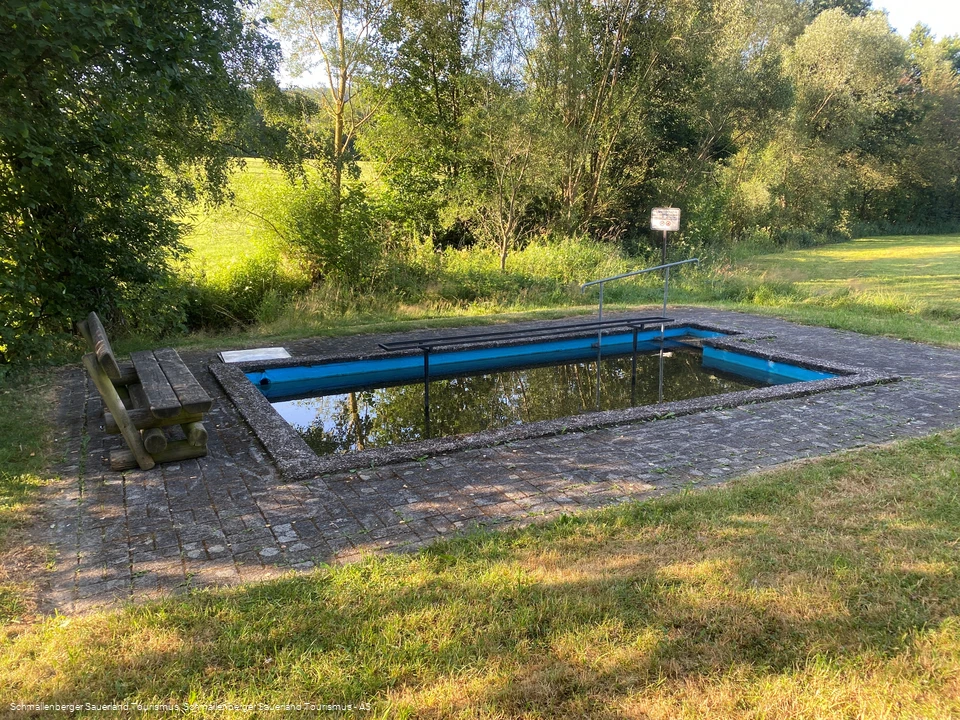 Tretbecken Wiesenweg.jpg