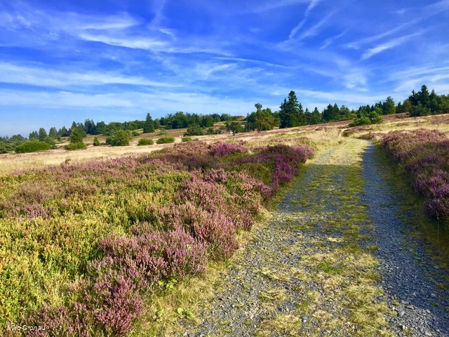Weg auf dem Kahlen Pön