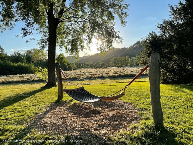 Hängematte TalVITAL