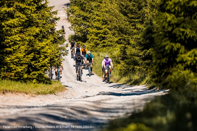 Eine Gruppe Radfahrer auf einem Waldweg, umgeben von Wald.