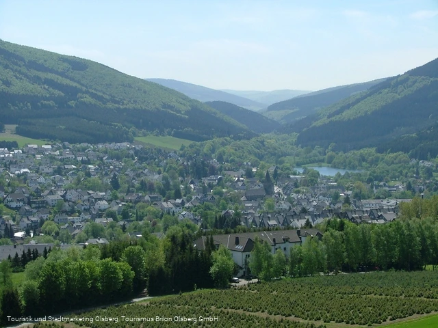 Blick auf Olsberg