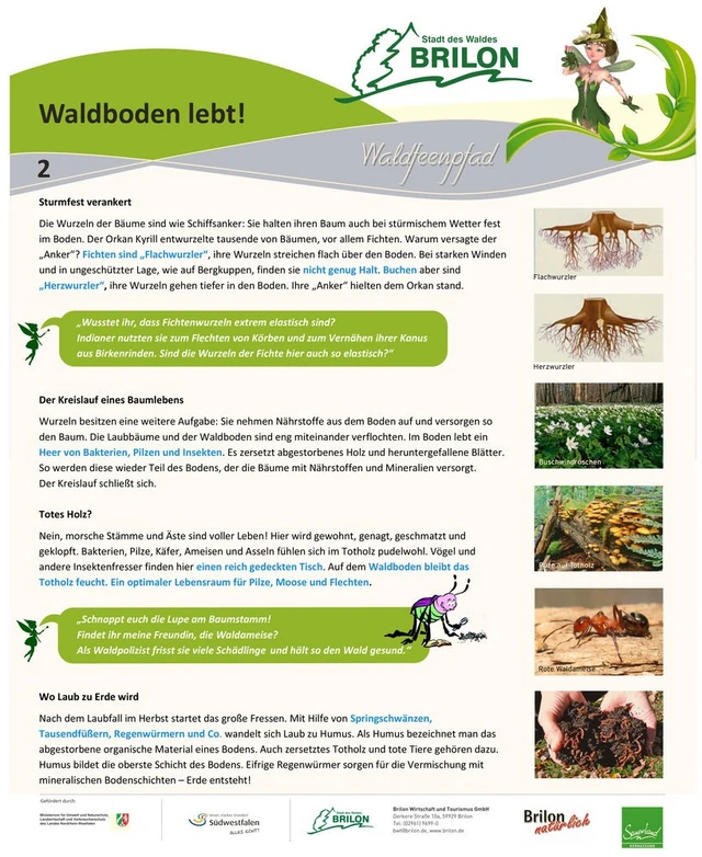 Infotafel Station 2 Waldfeenpfad