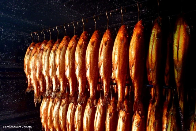 Räucherfische