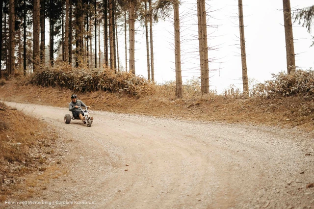 Eine Person fährt mit einem Mountaincart, Fahrzeug mit drei Rädern und einem Lenker, durch eine Kurve einen Waldweg hinab.