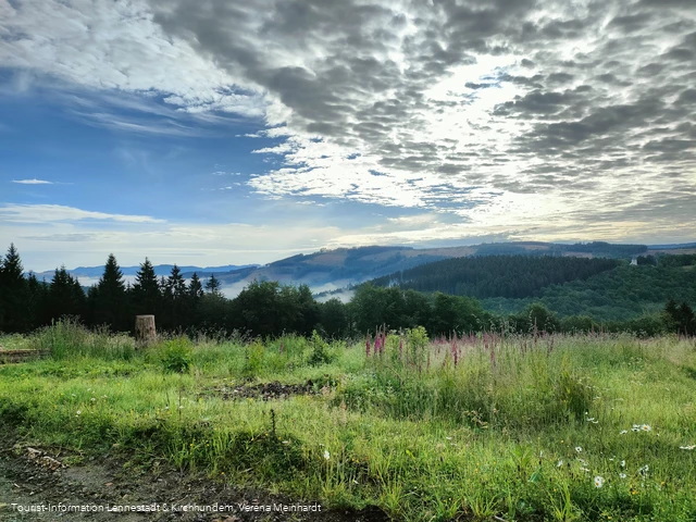 Ausblick von der Kophelle nach Kohlhagen
