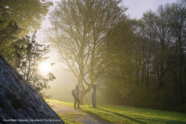 Ranger im Morgennebel 