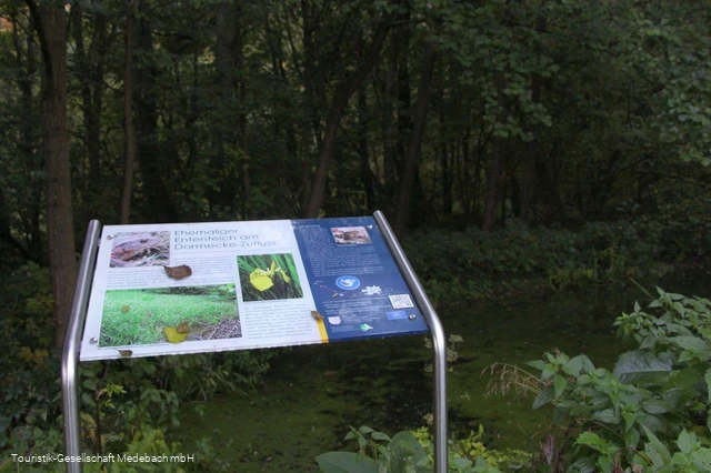 Infotafel 9 am Gewässerpfad Orke