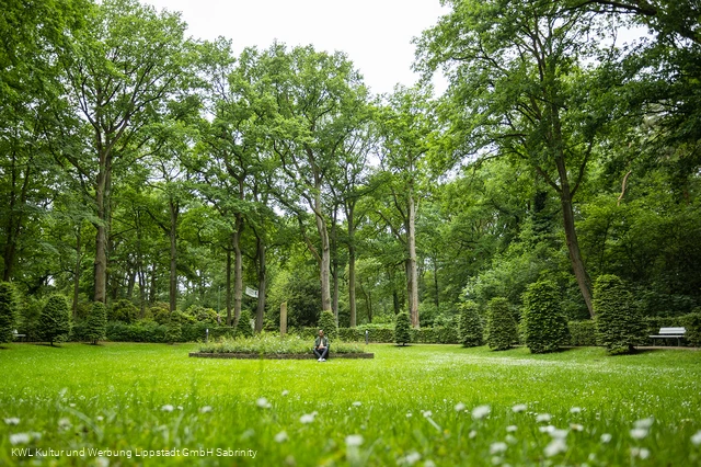 Kurpark Bad Waldliesborn