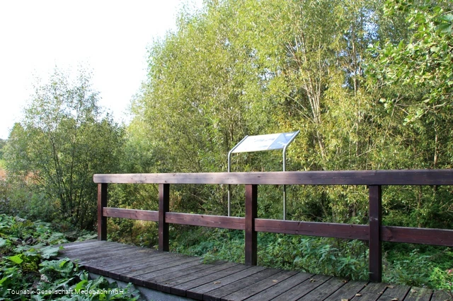 Infotafel 11 am Gewässerpfad Orke