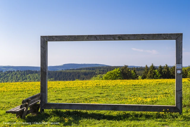 FerienweltWinterberg_2018_Hoheleye_Naturkino Landschaftskino Rahmen Natur_Sommer_Klaus-Peter Kappest (2).jpg