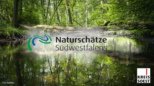 Naturschätze Südwestfalen_Foto (c) Tim Seiffert.jpeg