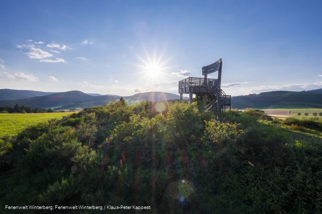 Ein Aussichtsturm in Form eines großen Holzstuhles auf einem bewaldeten Hügel vor blauem Himmel und Sonne inmitten von Wiesen und Wäldern.