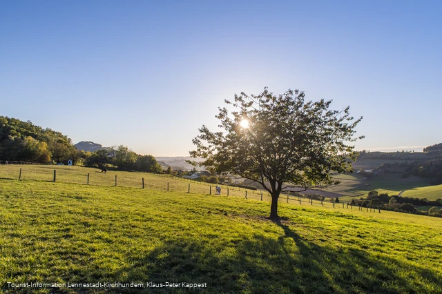 Sauerland-Seelenort Lausebuche