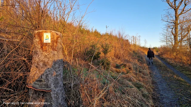 BestWeg Nuttlar Suhrenberg