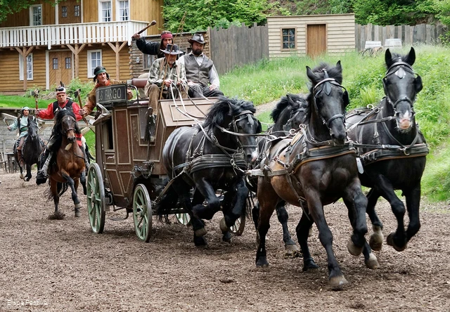Pferdekutsche