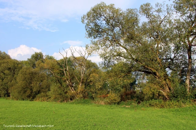 Wiesentäler am Gewässerpfad Orke