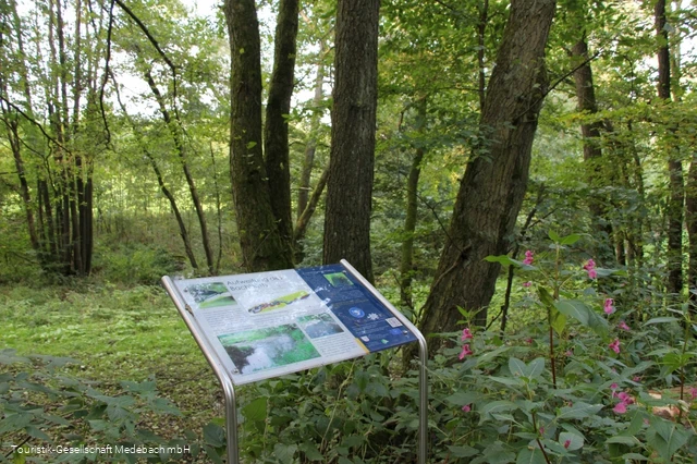 Infotafel 12 am Gewässerpfad Orke