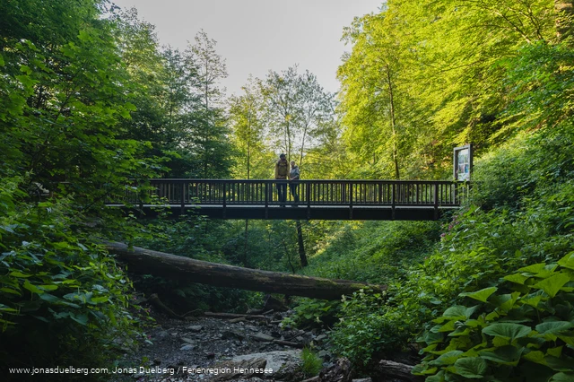 Aussichtsplattform Wasserfall Plästerlegge