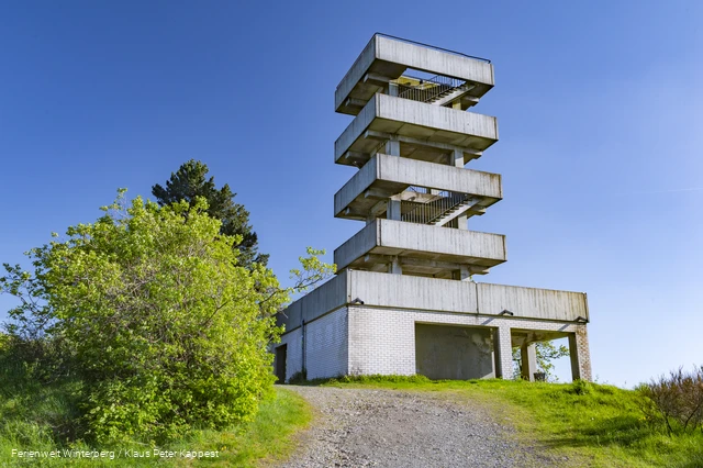 FerienweltWinterberg_2018_Hallenberg_Hesborn_Bollerberg Aussichtsturm Landschaft_Sommer (6).jpg