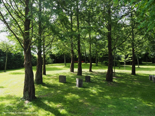 LIPPETAL - Arboretum Hense.jpg