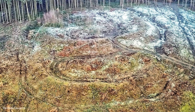 Luftbild Güllener Ring