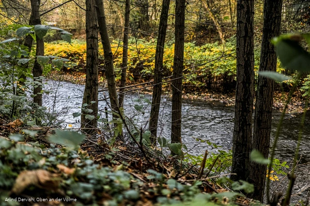 Auch nah am Wasser entlang führt der Themenweg
