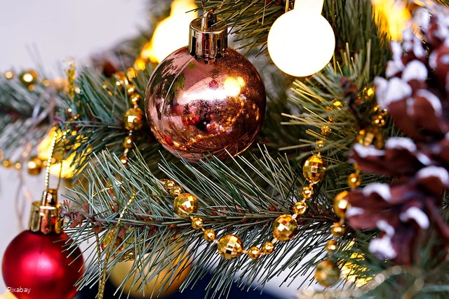 Weihnachtsbaum (c) Pixabay.jpg