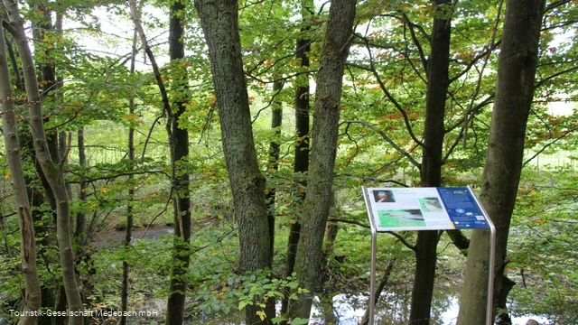 Infotafel 13 am Gewässerpfad Orke