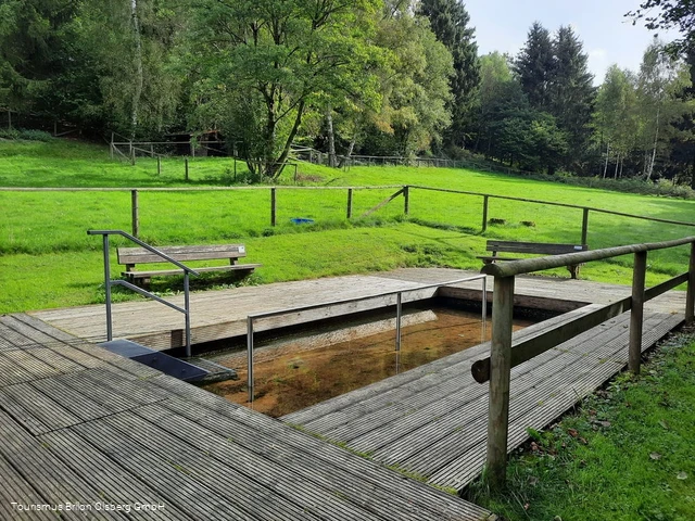 Tretbecken Assinghausen