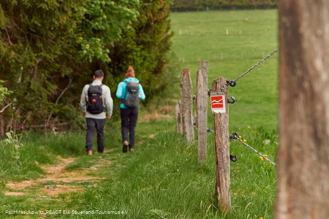 Pfad bei Küstelberg auf dem Rothaarsteig