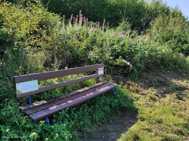 Die Bank mit der Hörspielstation