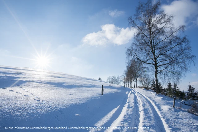 Winter im Schmallenberger Sauerland