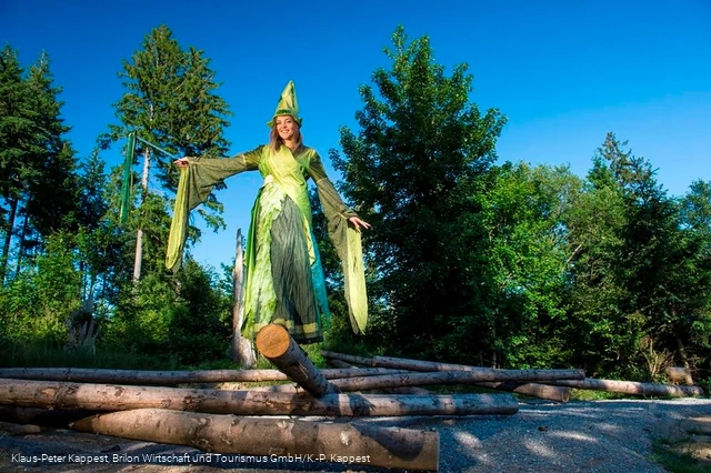 Waldfeenpfad Station 1