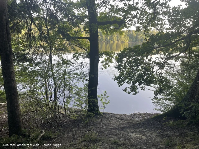 Hevesee am Möhnesee
