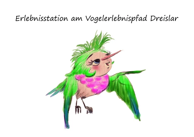 Erlebnisstation am Vogelerlebnispfad Dreislar
