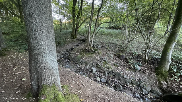 Aggerquelle im Oktober