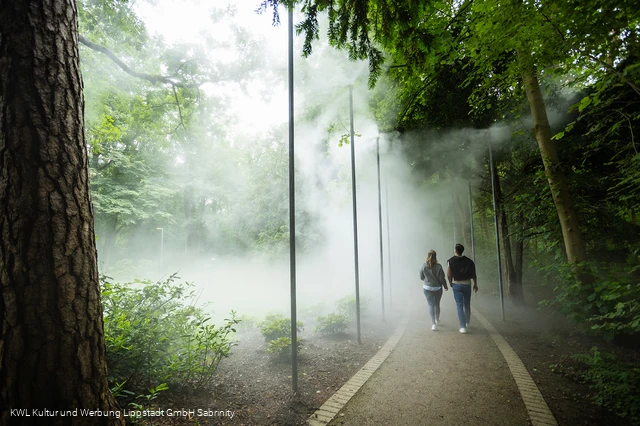 Nebelweg Bad Waldliesborn