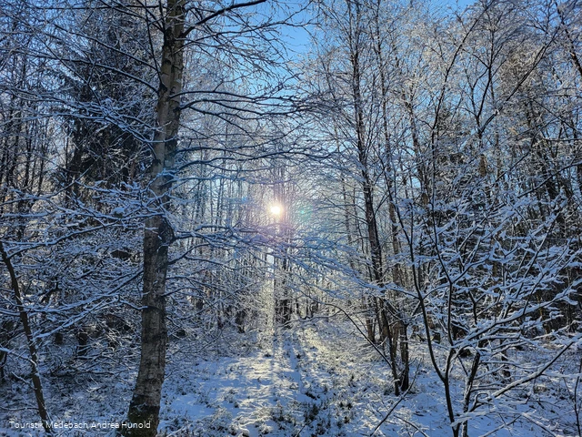 Winterwanderung Küstelberg (33).jpg