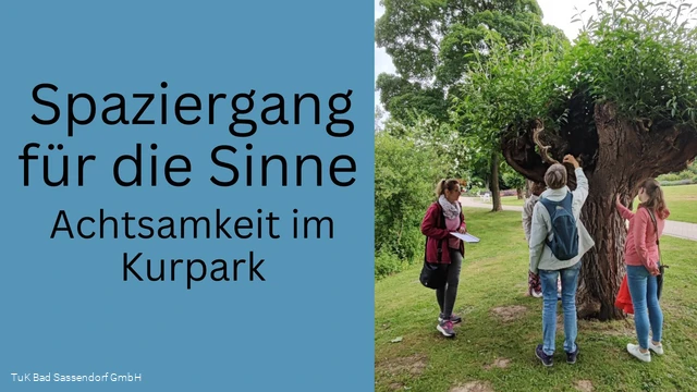 Spaziergang für die Sinne - Achtsamkeitsspaziergang im Kurpark Bad Sassendorf