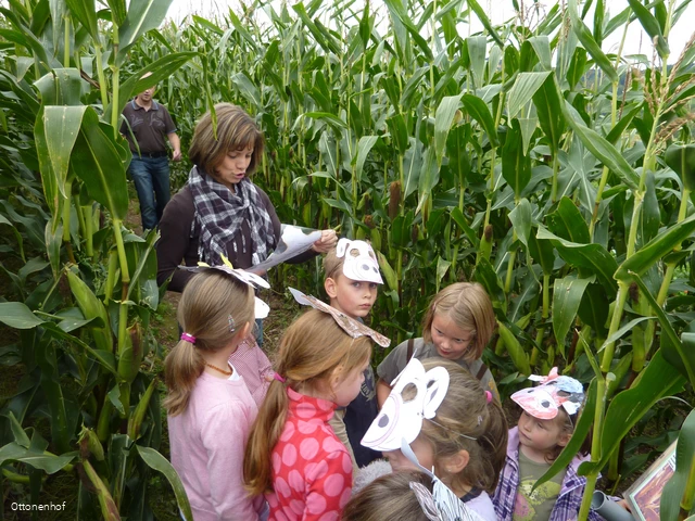 Ottonenhof Maislabyrinth