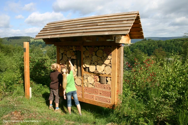 Insektenhotel Sinnepfad Hennesee