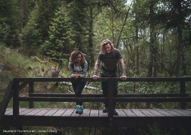 Auf der Brücke der Ebbemoore