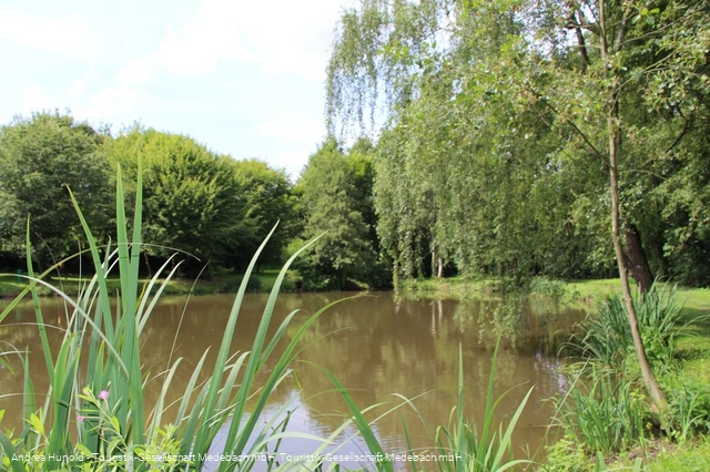 Weddelsee in Medebach